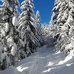 Fuchsbau Байрсброн