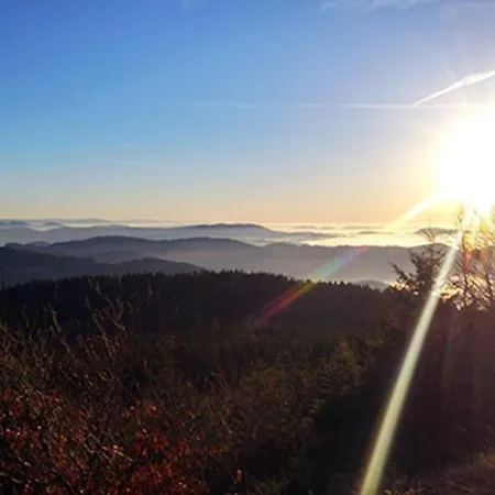 Apartment Fuchsbau Baiersbronn