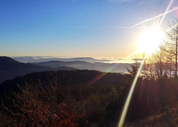 Appartement Fuchsbau Baiersbronn