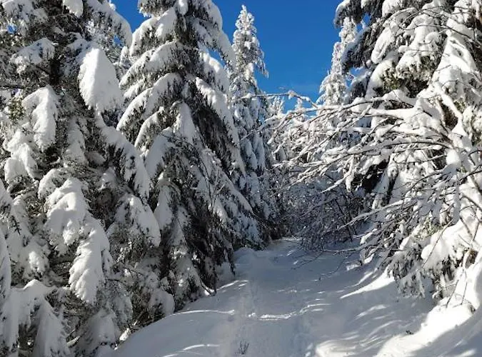 Fuchsbau Appartement *