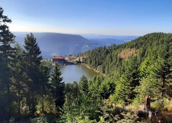 Fuchsbau * Baiersbronn