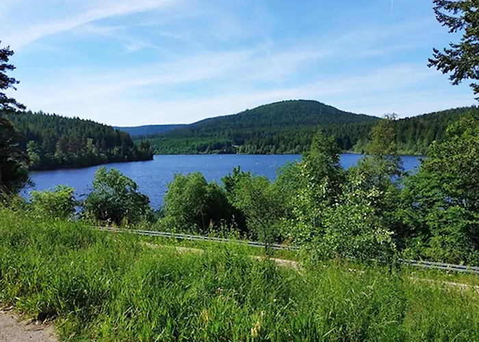 Fuchsbau 바이에르스브론